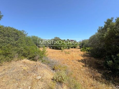Land plot 2.369,27sqm for sale-Chios » Amani