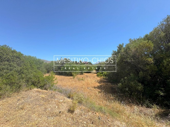 Οικόπεδο 2.369,27 τ.μ. προς πώληση, Αμάνη
