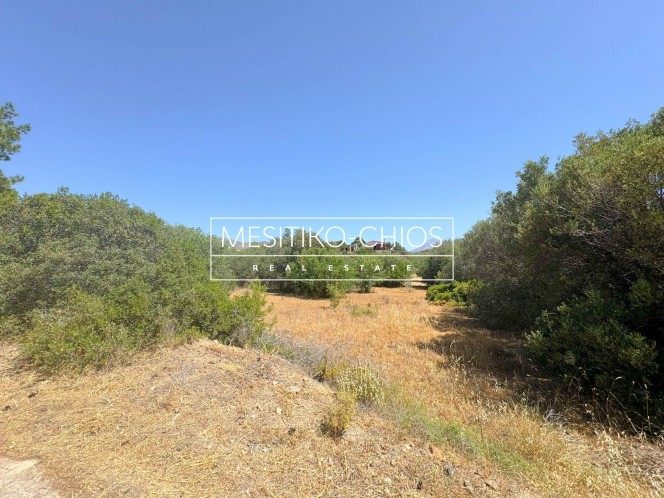 Οικόπεδο 2.369,27 τ.μ. προς πώληση, Αμάνη