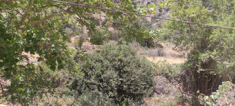 Αγροτεμάχια 319 τ.μ. προς πώληση, Τέρτσα