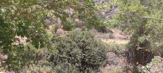 Αγροτεμάχια 319 τ.μ. για πώληση, Ν. Ηρακλείου, Βιαννός-thumb-4