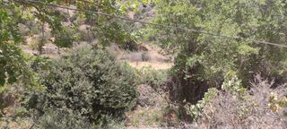 Αγροτεμάχια 319 τ.μ. για πώληση, Ν. Ηρακλείου, Βιαννός-thumb-2