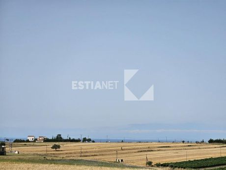 Parcel 10.125sqm for sale-Epanomi » Center