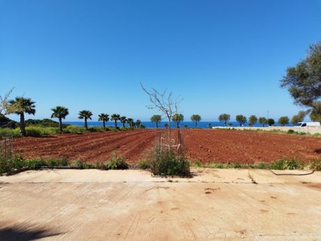 Οικόπεδο 7.044τ.μ. για πώληση-Φιλιατρά » Λεμπεστενά