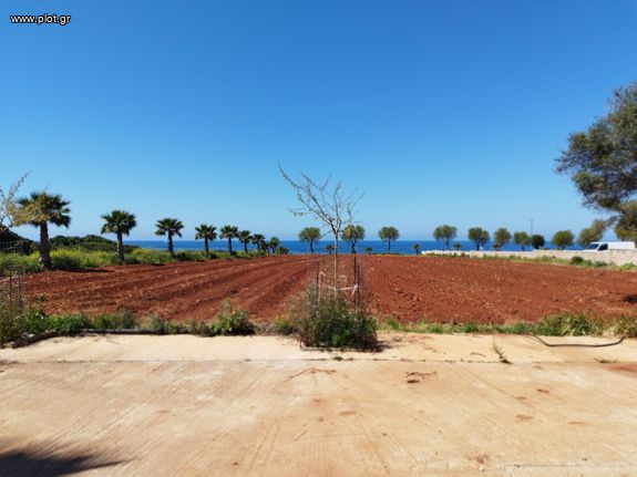 Οικόπεδο 7.044 τ.μ. για πώληση, Μεσσηνία, Φιλιατρά