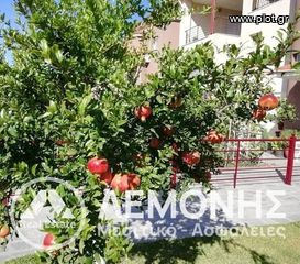 Μεζονέτα 120 τ.μ. για πώληση, Χαλκιδική, Κασσάνδρα-thumb-31