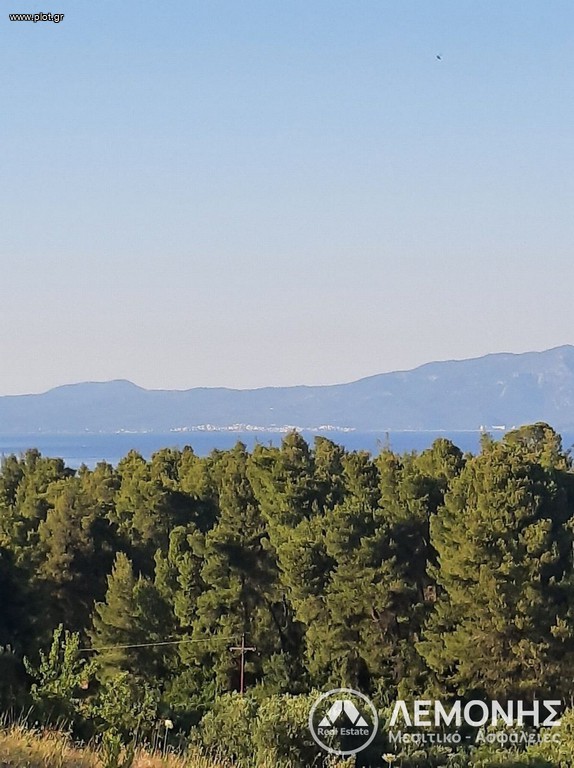 Αγροτεμάχια 10.000 τ.μ. πρός πώληση, Χαλκιδική, Παλλήνη