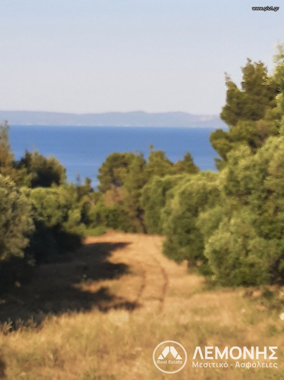 Αγροτεμάχια 10.000 τ.μ. πρός πώληση, Χαλκιδική, Παλλήνη