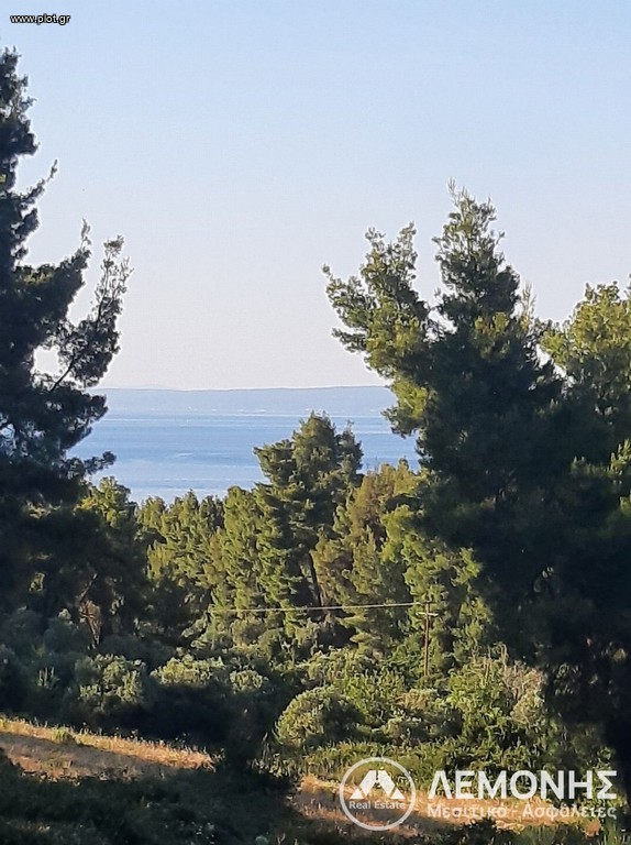 Αγροτεμάχια 10.000 τ.μ. πρός πώληση, Χαλκιδική, Παλλήνη
