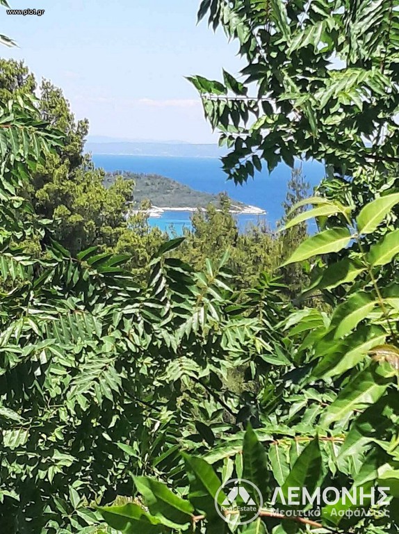 Οικόπεδο 8.000 τ.μ. πρός πώληση, Χαλκιδική, Παλλήνη