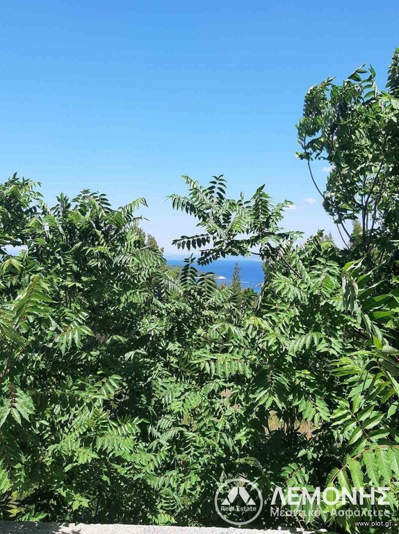 Οικόπεδο 8.000 τ.μ. πρός πώληση, Χαλκιδική, Παλλήνη