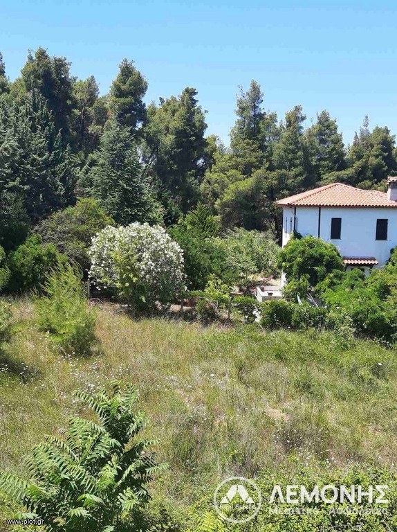 Οικόπεδο 8.000 τ.μ. πρός πώληση, Χαλκιδική, Παλλήνη