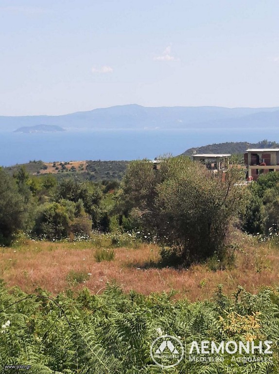 Αγροτεμάχια 5.000 τ.μ. πρός πώληση, Χαλκιδική, Κασσάνδρα