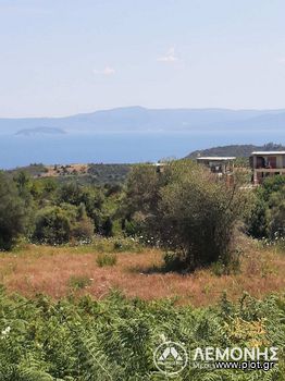 Parcel 5.000sqm for sale-Kassandra » Pefkochori