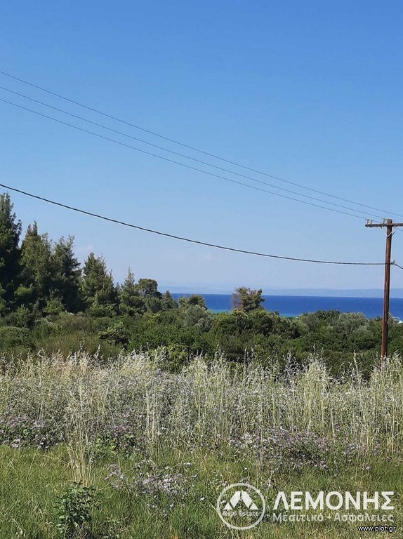 Αγροτεμάχια 10.500 τ.μ. πρός πώληση, Χαλκιδική, Παλλήνη