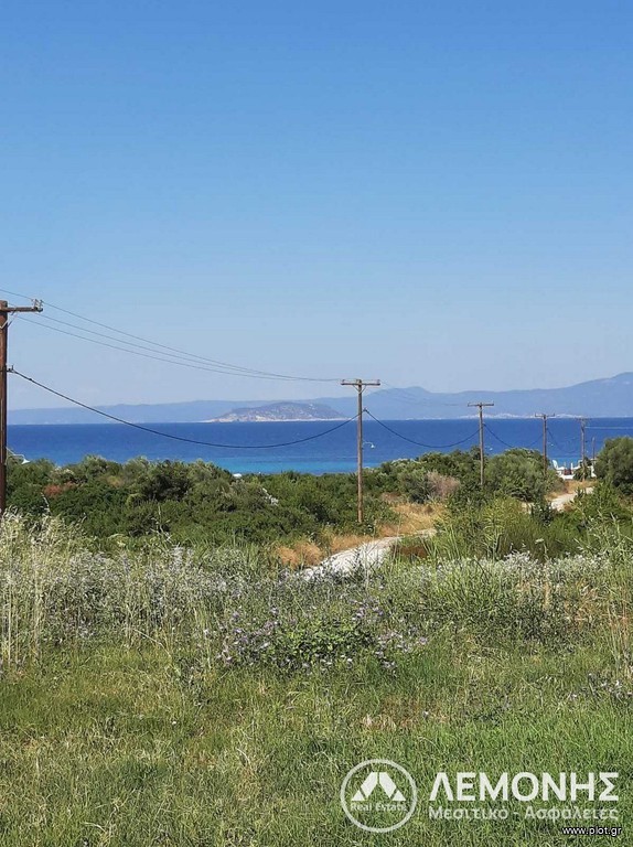 Αγροτεμάχια 10.500 τ.μ. πρός πώληση, Χαλκιδική, Παλλήνη