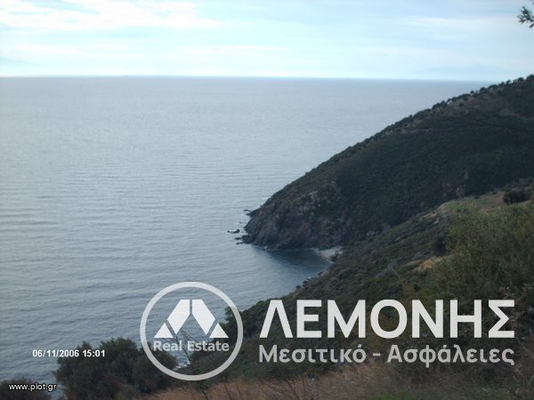 Αγροτεμάχια 12.000 τ.μ. πρός πώληση, Χαλκιδική, Παλλήνη