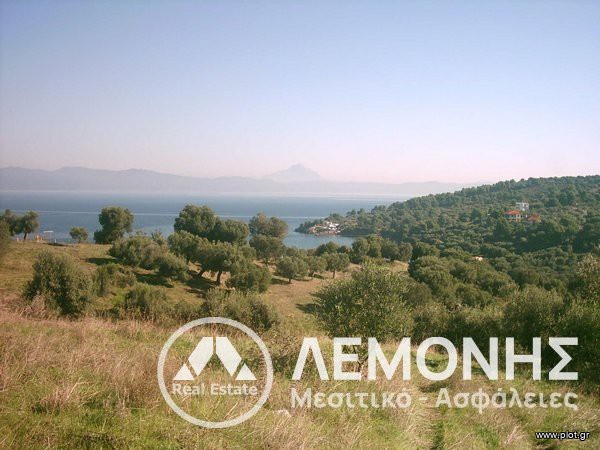 Αγροτεμάχια 3.700 τ.μ. πρός πώληση, Χαλκιδική, Παλλήνη