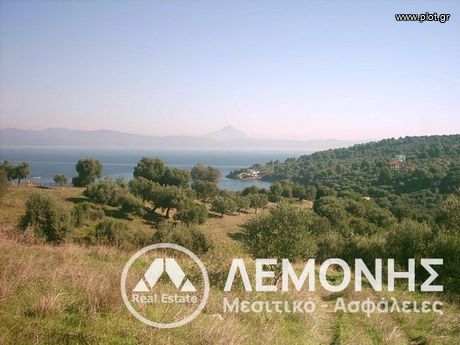 Αγροτεμάχια 3.700τ.μ. για πώληση-Παλλήνη » Παλιούρι