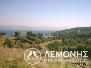 Αγροτεμάχια 3.700 τ.μ. για πώληση