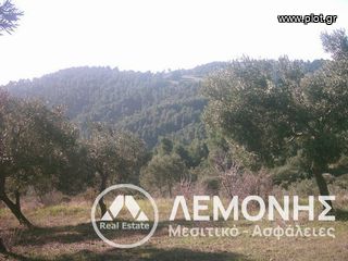 Αγροτεμάχια 24.000 τ.μ. για πώληση