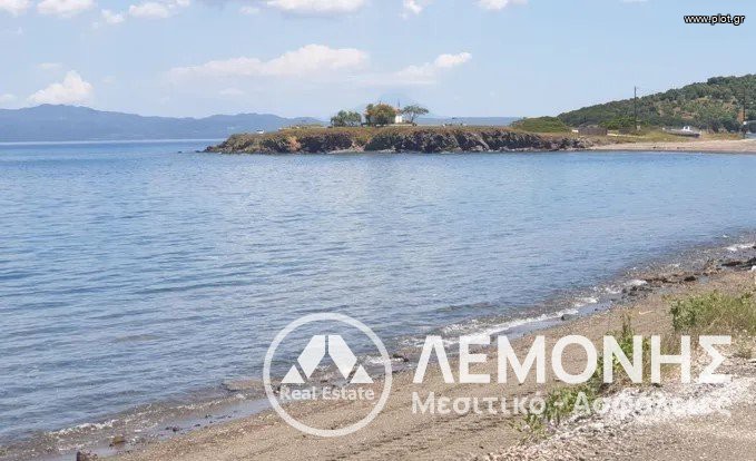 Αγροτεμάχια 600 τ.μ. πρός πώληση, Χαλκιδική, Παλλήνη