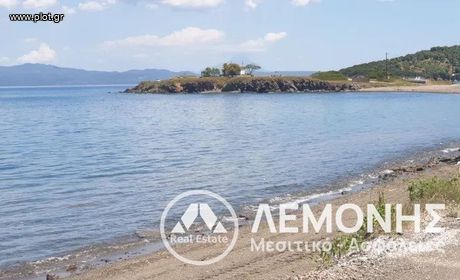 Αγροτεμάχια 600τ.μ. για πώληση-Παλλήνη » Παλιούρι