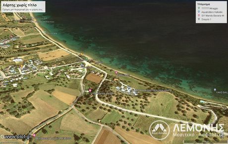Αγροτεμάχια 12.000τ.μ. για πώληση-Παλλήνη » Παλιούρι