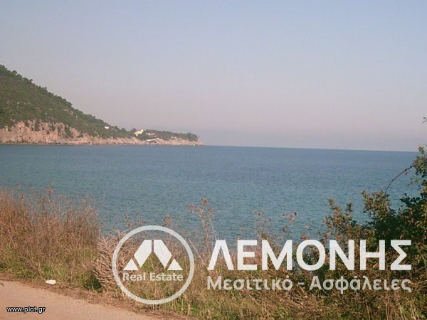 Αγροτεμάχια 4.000 τ.μ. πρός πώληση, Χαλκιδική, Παλλήνη
