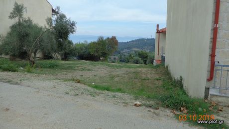 Οικόπεδο 300τ.μ. για πώληση-Παλλήνη » Παλιούρι