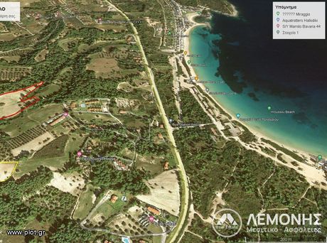 Αγροτεμάχια 9.000τ.μ. για πώληση-Παλλήνη » Παλιούρι