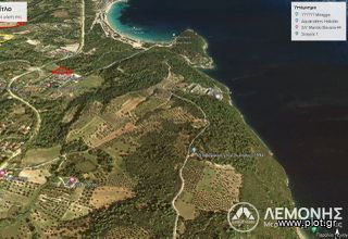 Αγροτεμάχια 4.000 τ.μ. για πώληση