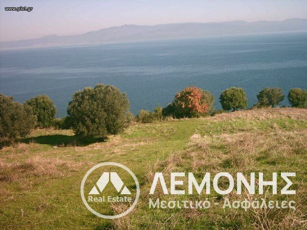 Αγροτεμάχια 5.100 τ.μ. προς πώληση, Χαλκιδική, Παλλήνη