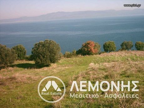 Αγροτεμάχια 5.100τ.μ. για πώληση-Παλλήνη » Παλιούρι