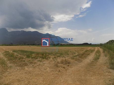 Αγροτεμάχια 30.000τ.μ. για πώληση-Γοργοπόταμος » Νέο κρίκελλο