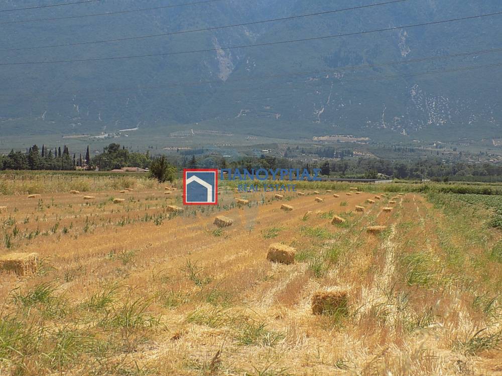 Αγροτεμάχια 6.000 τ.μ. πρός πώληση, Φθιώτιδας, Λειανοκλάδι