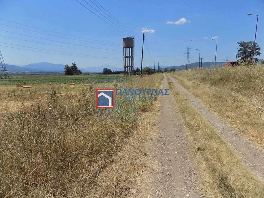 Αγροτεμάχια 6.000 τ.μ. πρός πώληση, Φθιώτιδας, Λειανοκλάδι