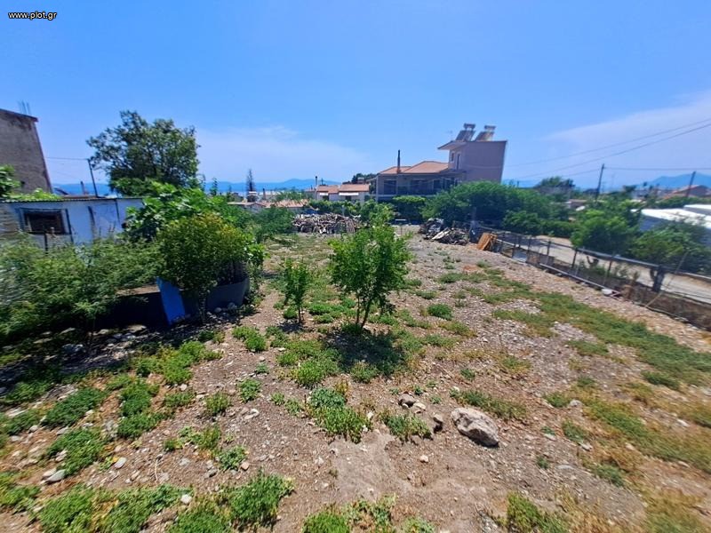 Οικόπεδο 884 τ.μ. προς πώληση, Ροβιές