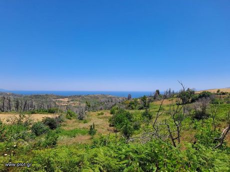 Parcel 12.313sqm for sale-Nilea » Agia Anna