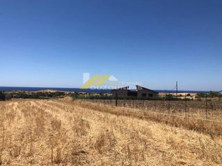 Αγροτεμάχια 11.200 τ.μ. για πώληση