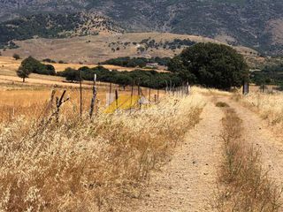 Αγροτεμάχια 11.200 τ.μ. για πώληση, Εβρος, Σαμοθράκη-thumb-8