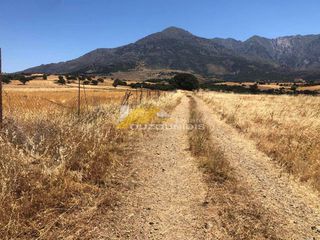 Αγροτεμάχια 11.200 τ.μ. για πώληση, Εβρος, Σαμοθράκη-thumb-7