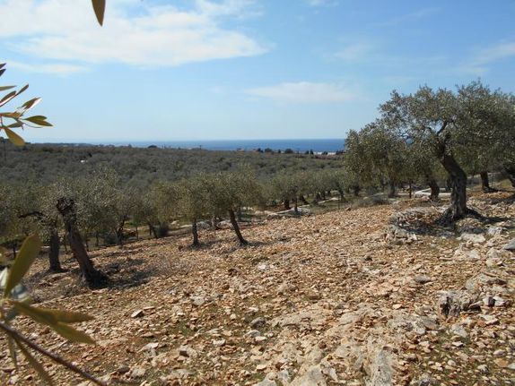 Αγροτεμάχια 4.138 τ.μ. για πώληση, Ν. Καβάλας, Θάσος