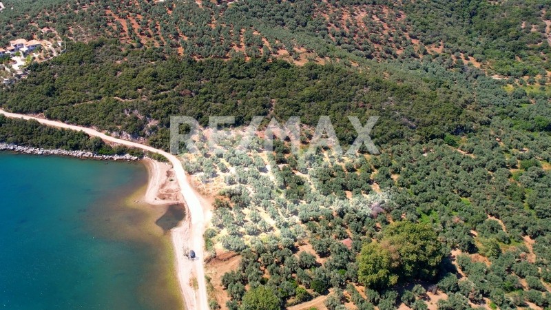 Αγροτεμάχια 10.491 τ.μ. προς πώληση, Λεφόκαστρο