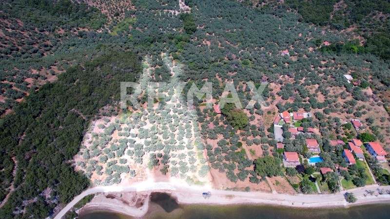 Αγροτεμάχια 10.491 τ.μ. προς πώληση, Λεφόκαστρο