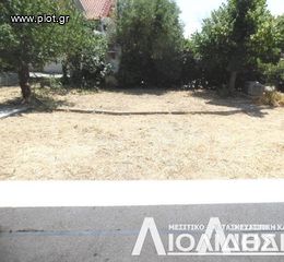 Αγροτεμάχια 280 τ.μ. για πώληση