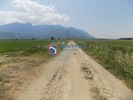 Αγροτεμάχια 42.244τ.μ. για πώληση-Γοργοπόταμος » Μοσχοχώρι