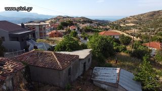 Οικόπεδο 5.000 τ.μ. για πώληση