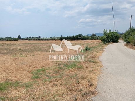 Parcel 4.000sqm for sale-Alexandroupoli » Dikella