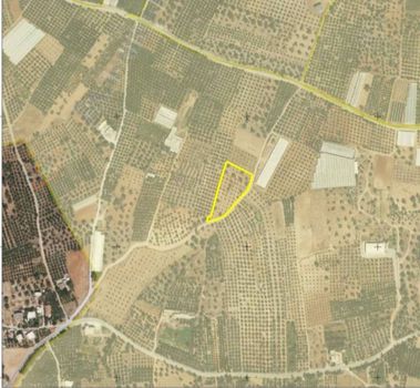 Οικόπεδο 4.600τ.μ. για πώληση-Τυμπάκι » Βώροι